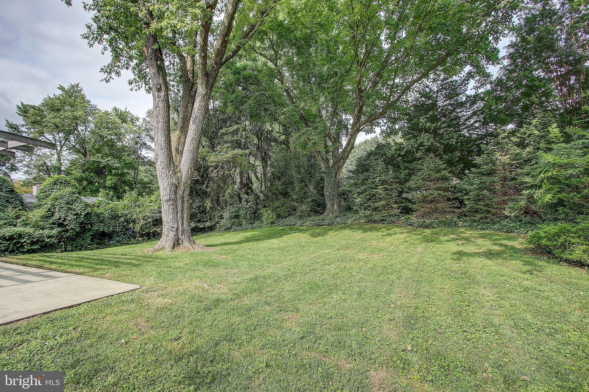 710 Apple Grove Road Silver Spring, MD 20904 - Photo 43 of 48 Gallery Image 43