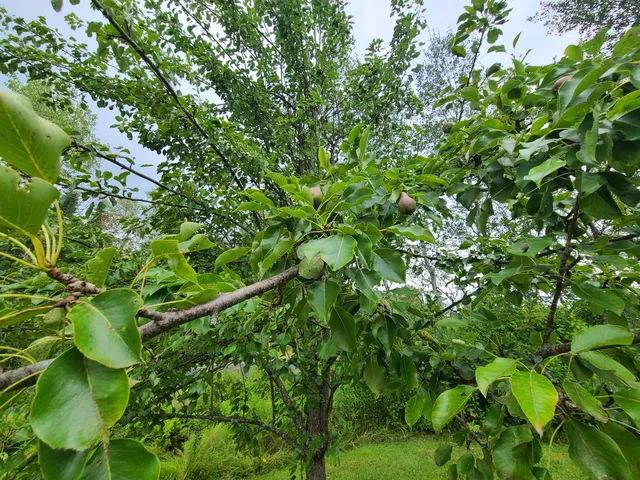 $65,000 | 266 Forest City Road, Brookton, ME 04413