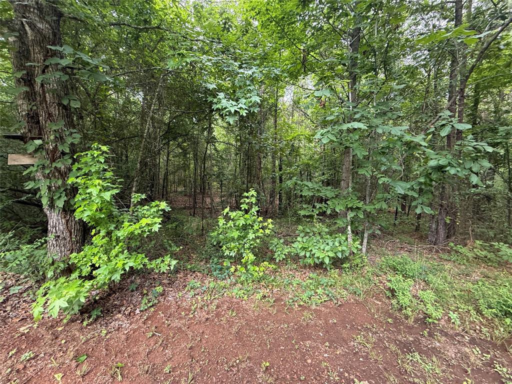 0 Crouch Road, Unit 2 Benton, LA 71006 - Photo 5 of 7 sightings on Lot 2