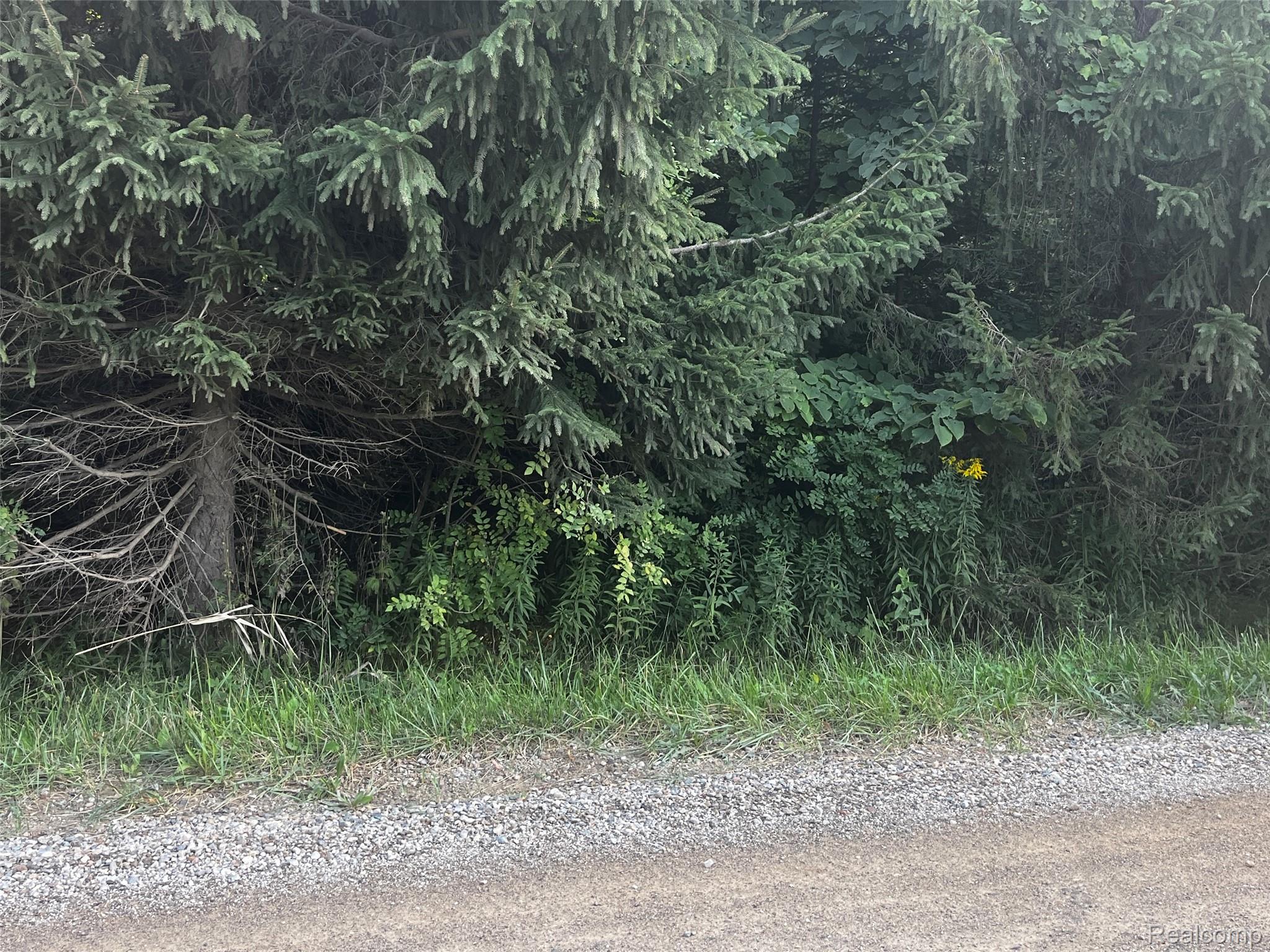 1 Jones Road North Branch, MI 48461 - Photo 1 of 2 IMG_2476 (1).jpg