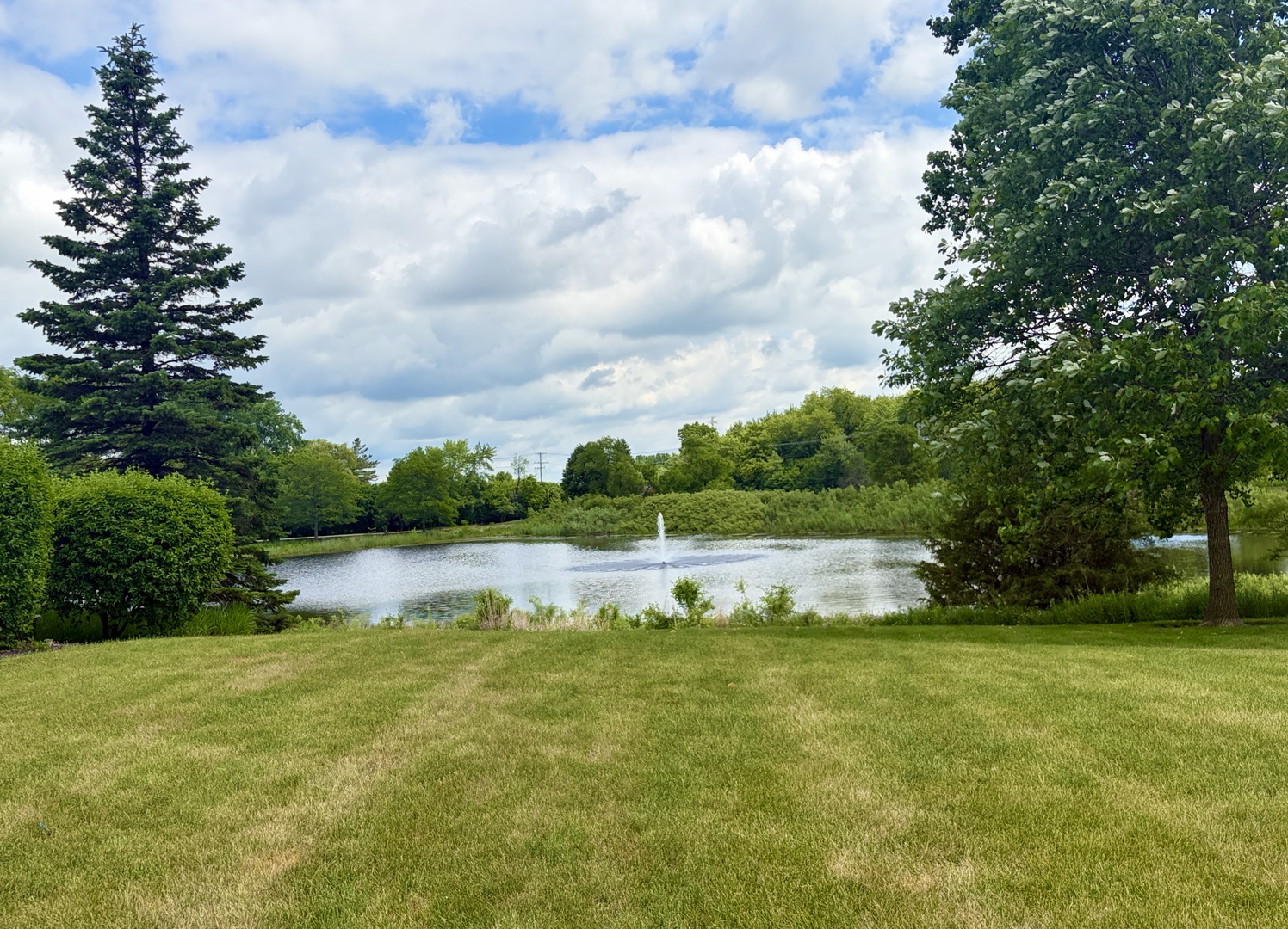 2886 Falling Waters Lane Lindenhurst, IL 60046 - Photo 25 of 25