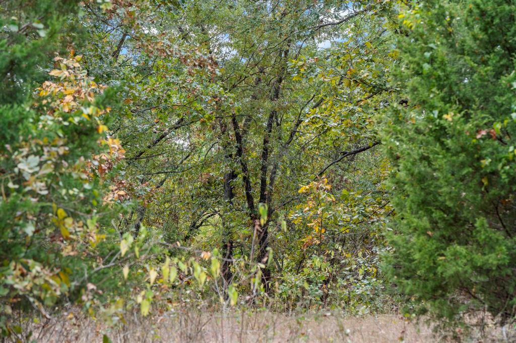 0 East 2105 Road Hugo, OK 74743 - Photo 12 of 17 a view of a yard