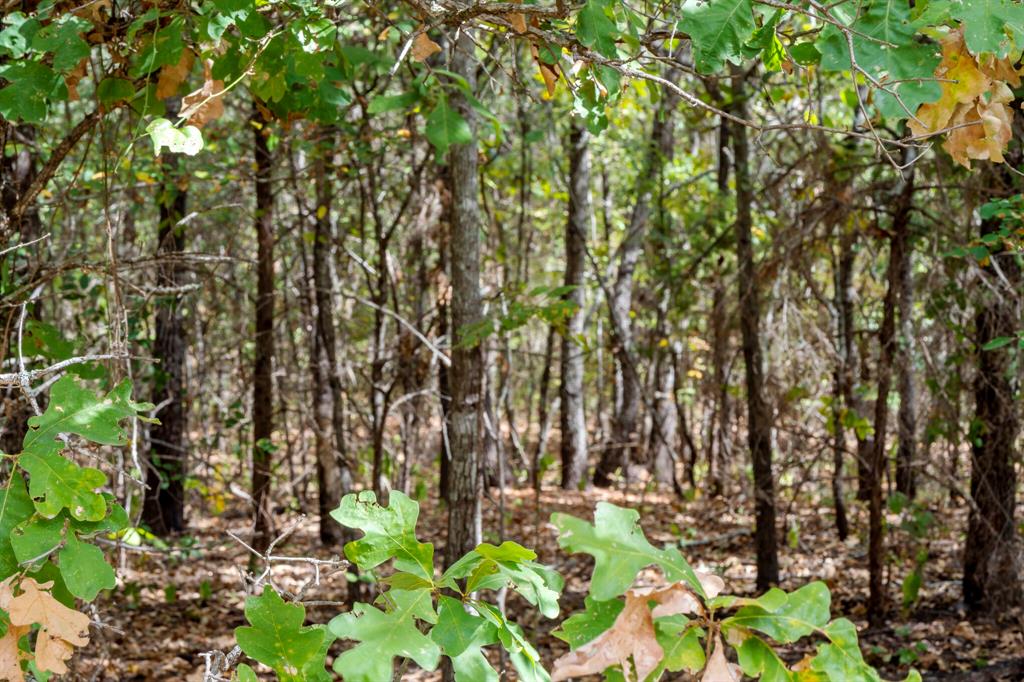 0 East 2105 Road Hugo, OK 74743 - Photo 13 of 17 a backyard of a house with a garden