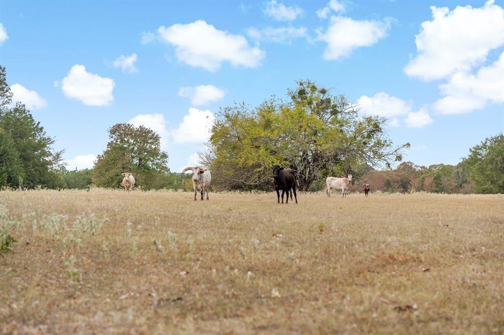 0 East 2105 Road Hugo, OK 74743 - Photo 15 of 17