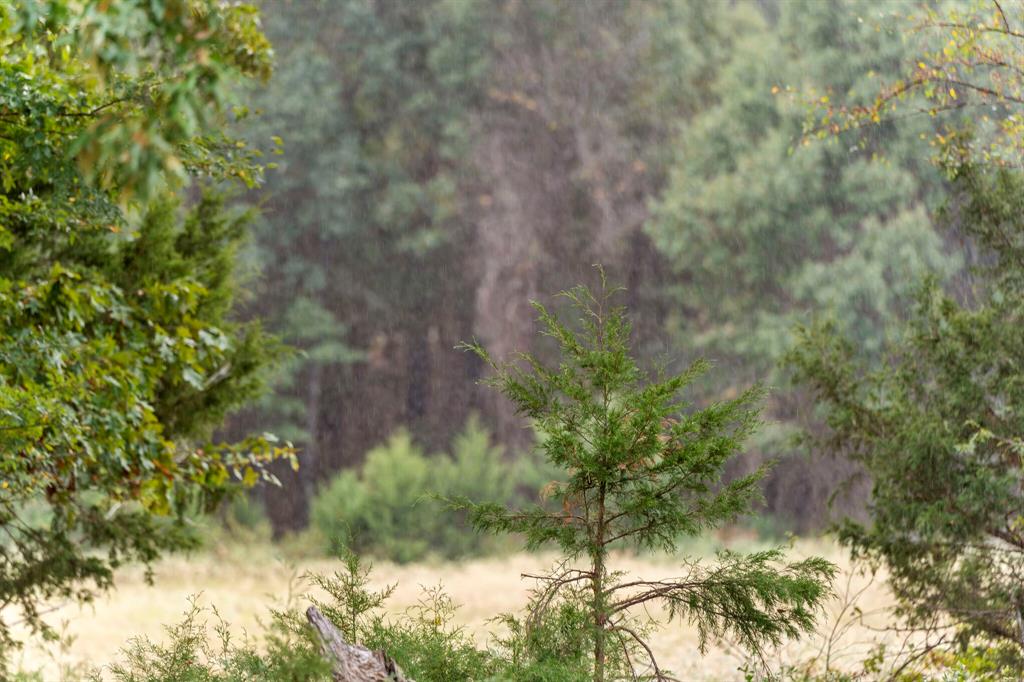 0 East 2105 Road Hugo, OK 74743 - Photo 16 of 17 a view of a tree