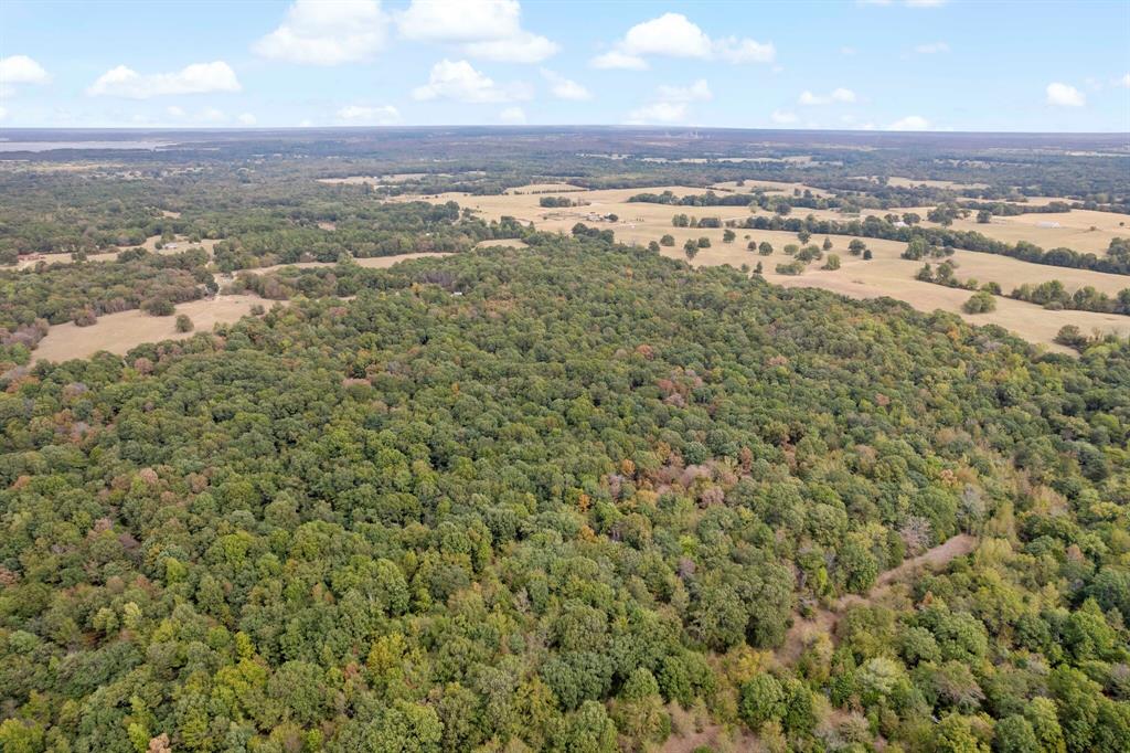 0 East 2105 Road Hugo, OK 74743 - Photo 8 of 17 an aerial view of residential houses with outdoor space and trees