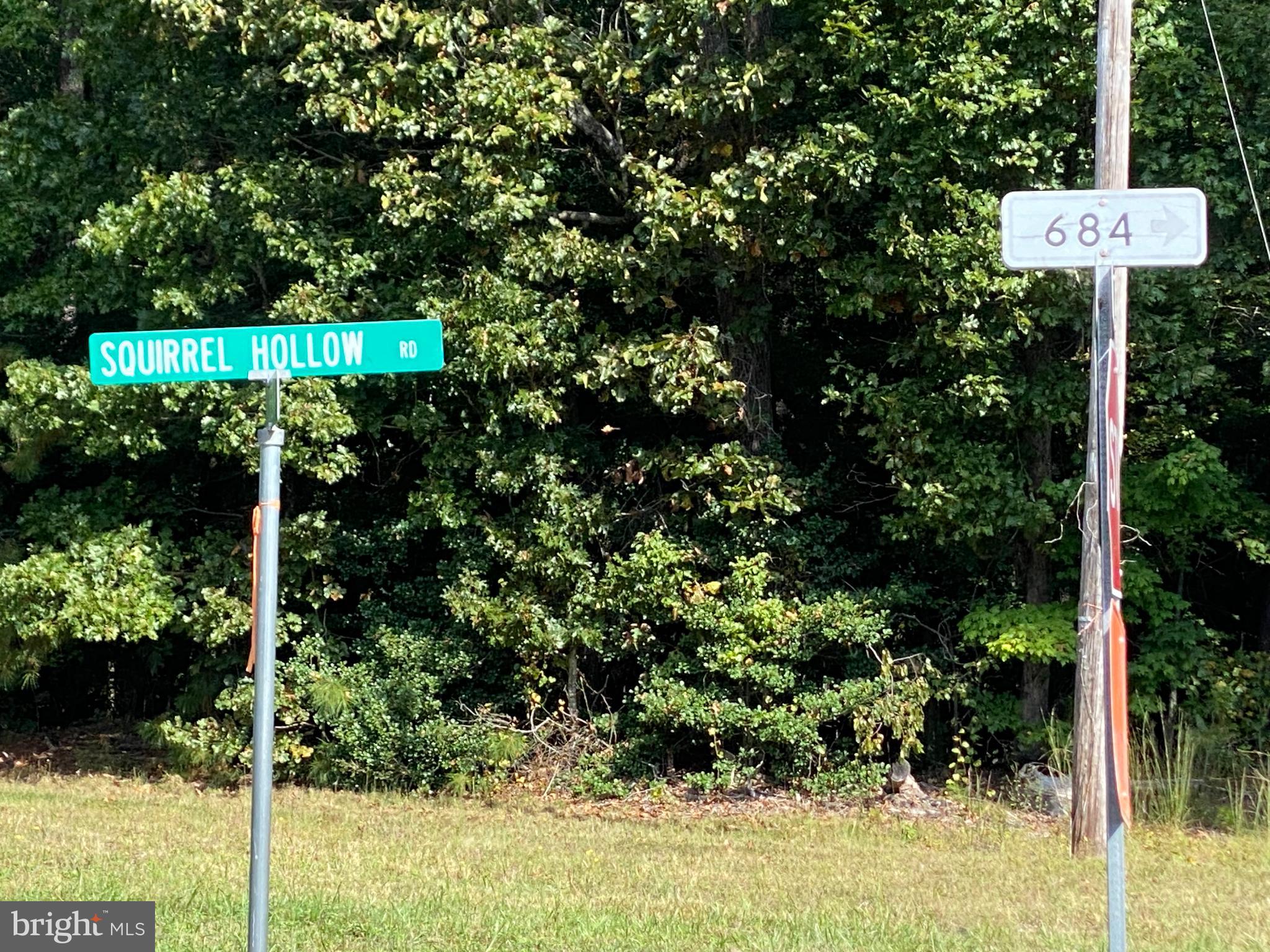 684 Squirrel Hollow Road Alberta, VA 23821 - Photo 4 of 43 Welcome to Squirrel Hollow Road