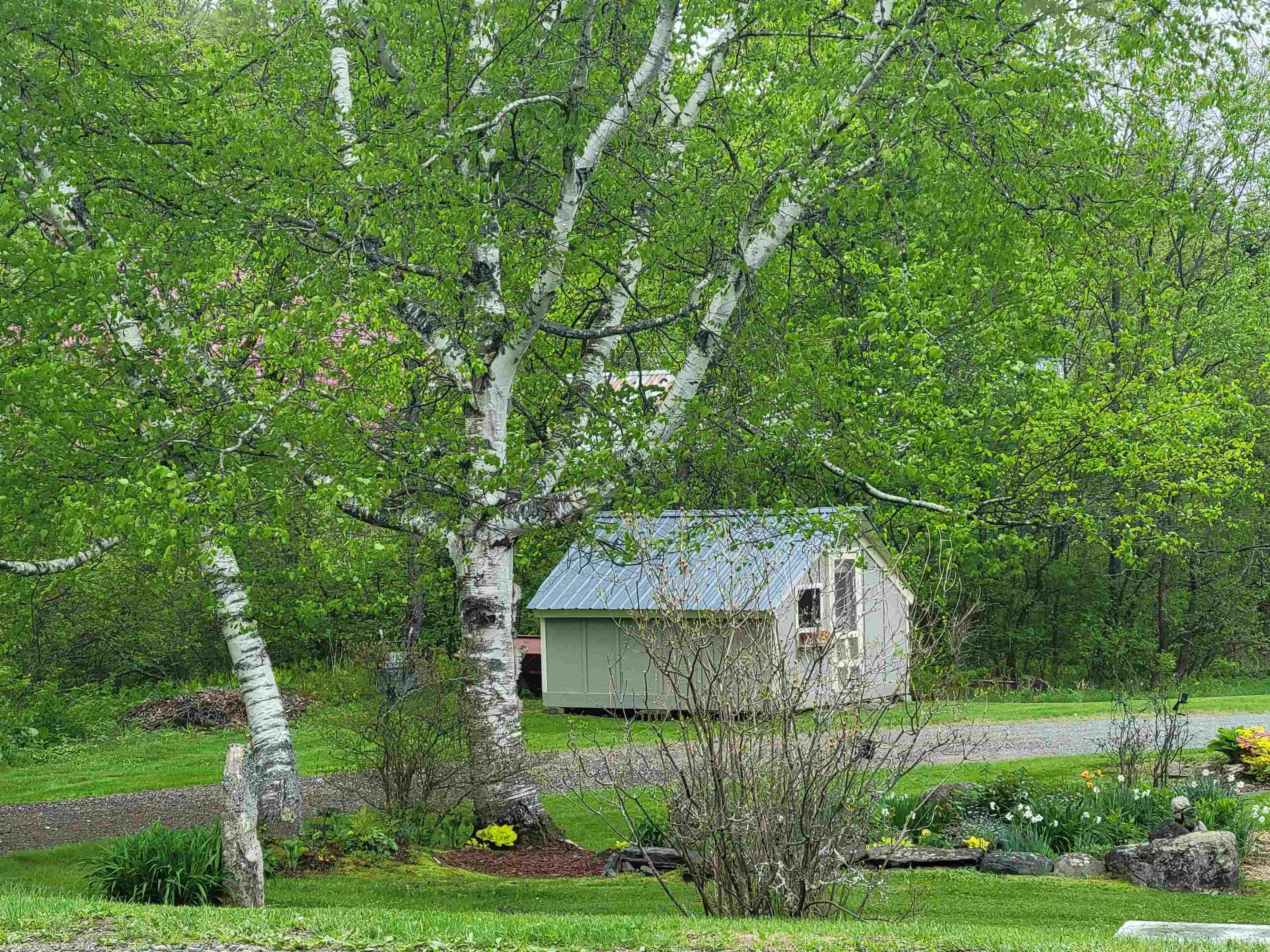 128 Old Rte 110 Dummer, NH 03588 - Photo 40 of 60