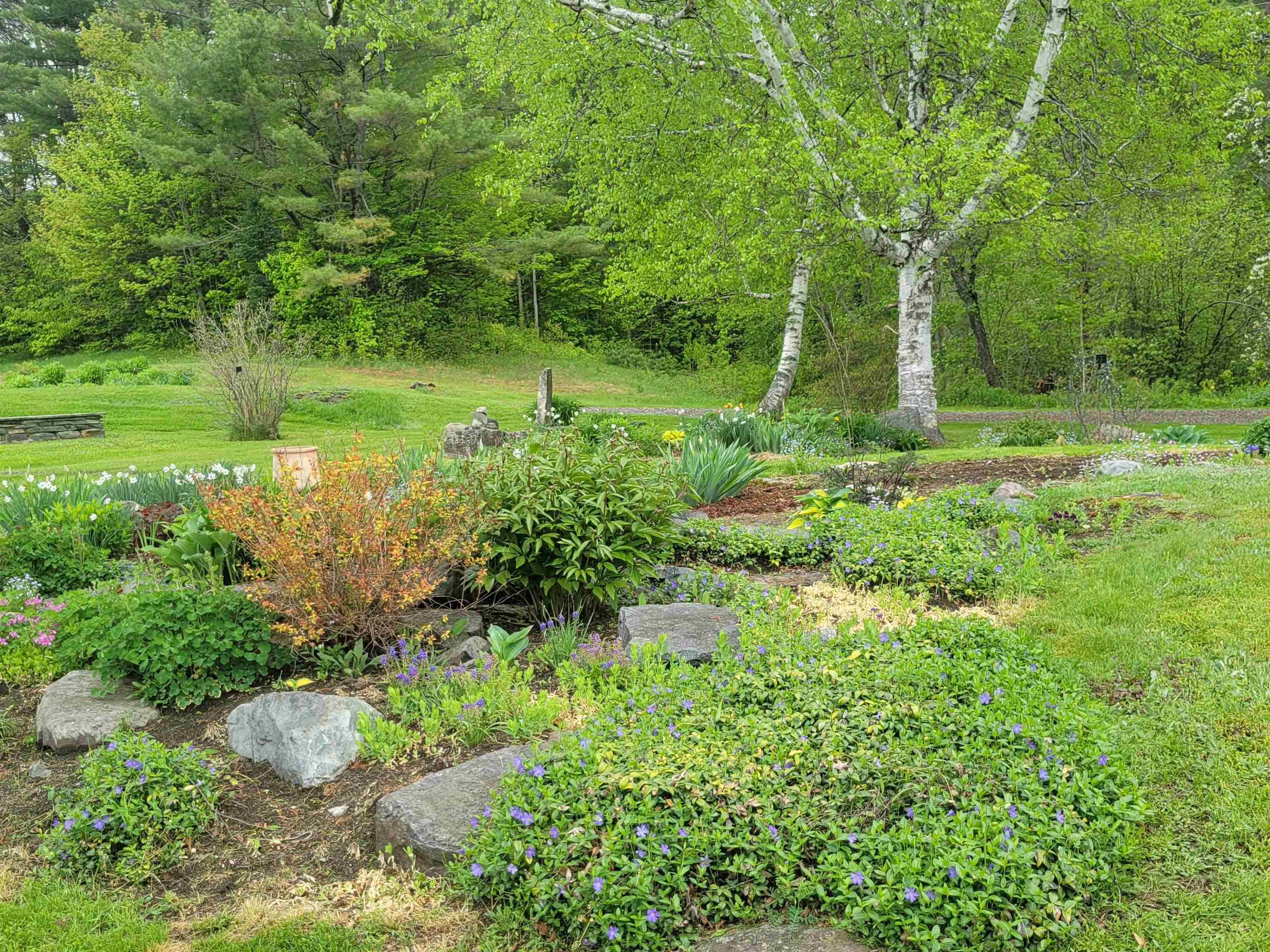 128 Old Rte 110 Dummer, NH 03588 - Photo 43 of 60