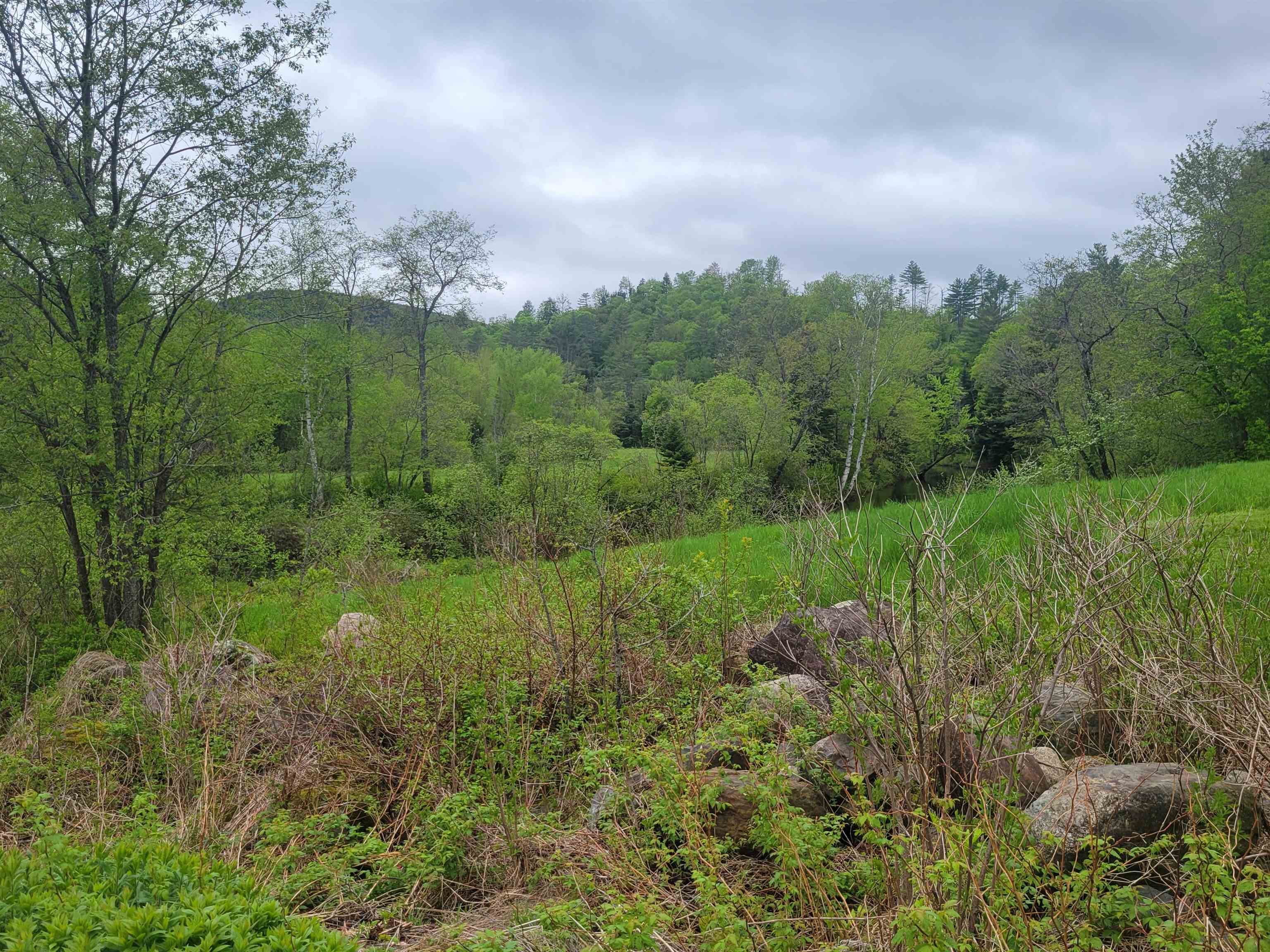 128 Old Rte 110 Dummer, NH 03588 - Photo 47 of 60