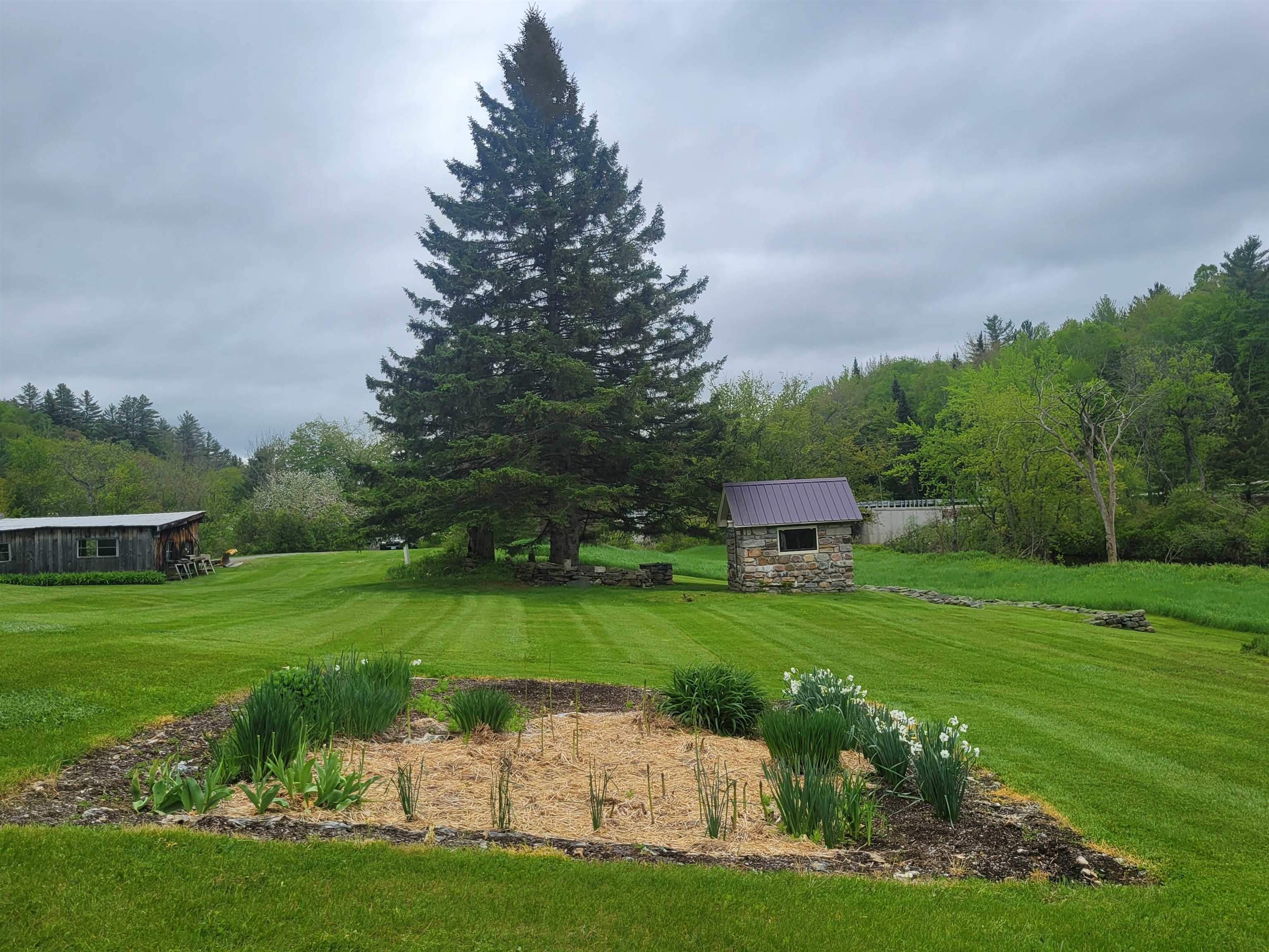 128 Old Rte 110 Dummer, NH 03588 - Photo 48 of 60