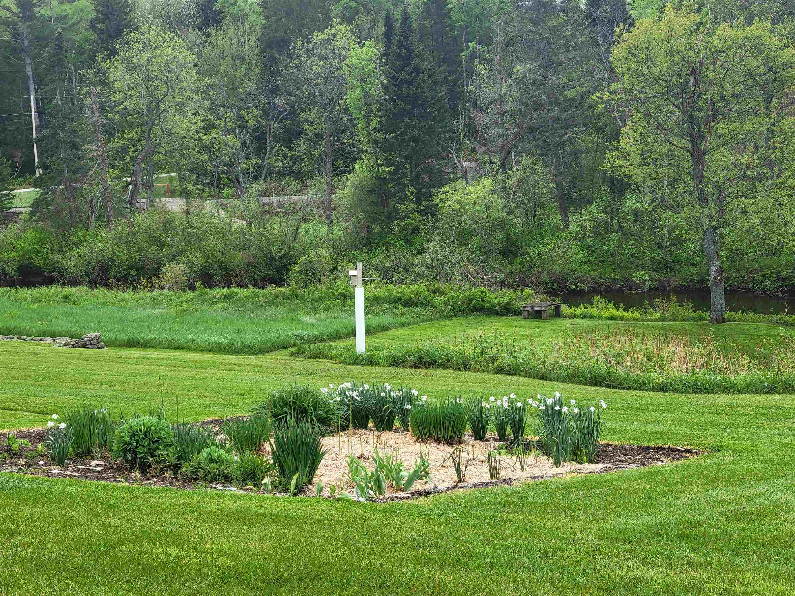 128 Old Rte 110 Dummer, NH 03588 - Photo 50 of 60