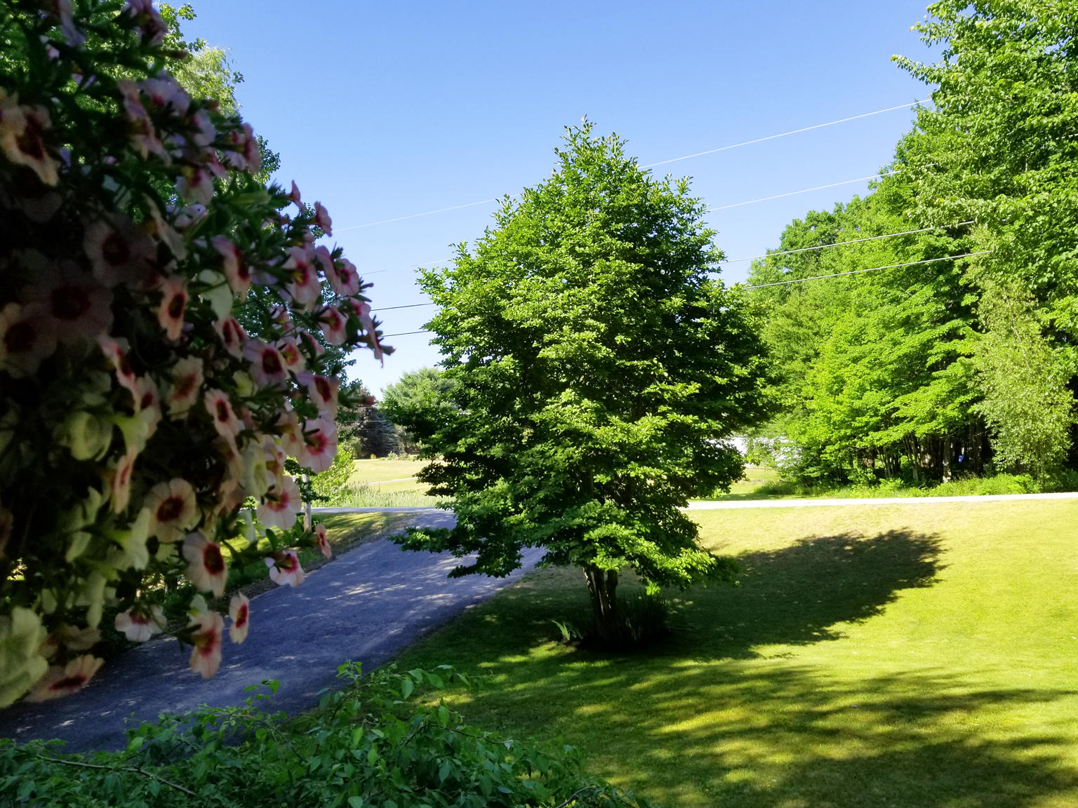 24 Oak Ridge Drive Standish, ME 04084 - Photo 44 of 45 Magnolia