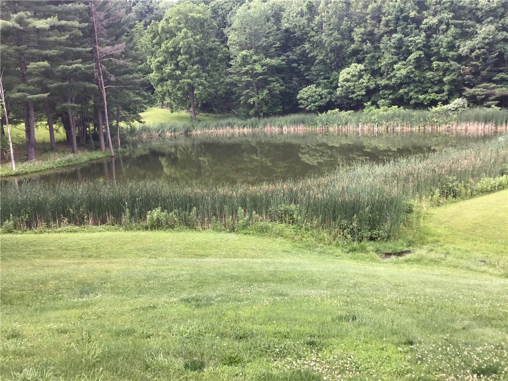10695 Sandy Hill Road Dansville, NY 14437 - Photo 9 of 12