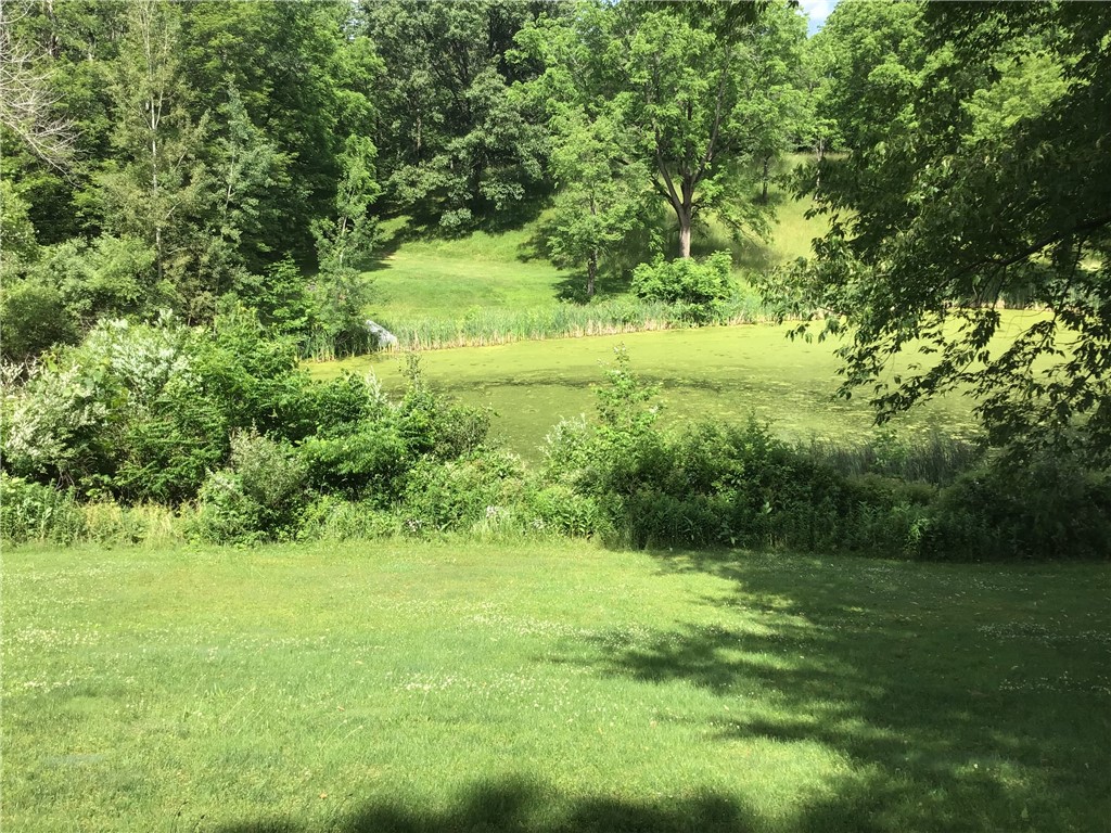 10695 Sandy Hill Road Dansville, NY 14437 - Photo 10 of 12