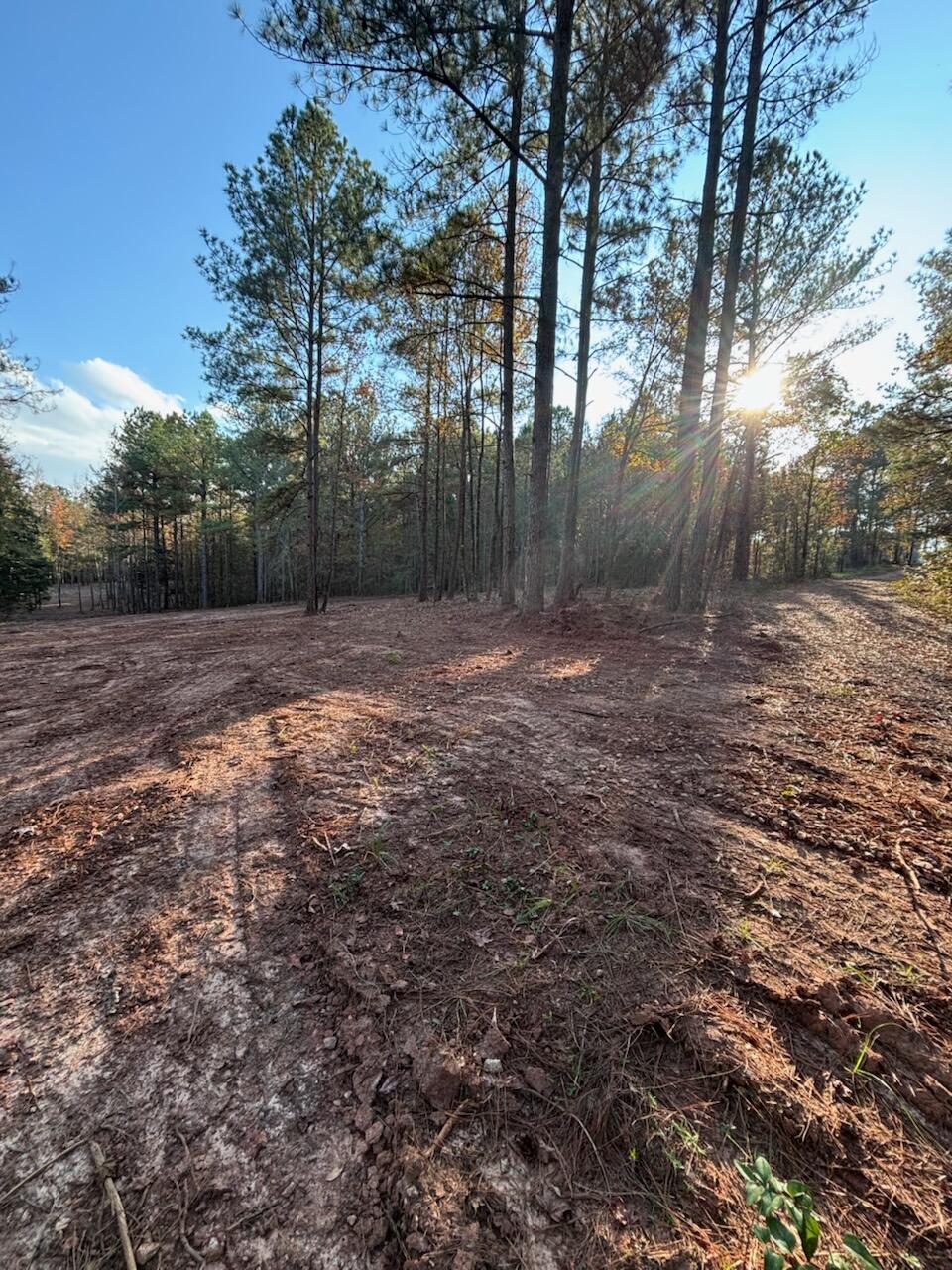 6982 Moontown Drive East Appling, GA 30802 - Photo 11 of 12 -6545240660011886380