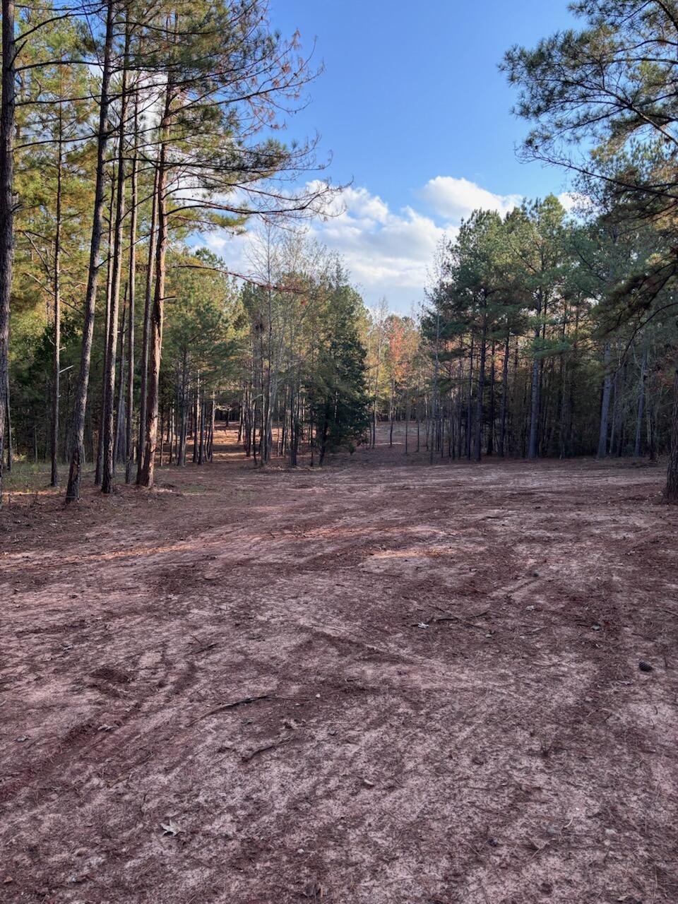 6982 Moontown Drive East Appling, GA 30802 - Photo 12 of 12 645014570218905079