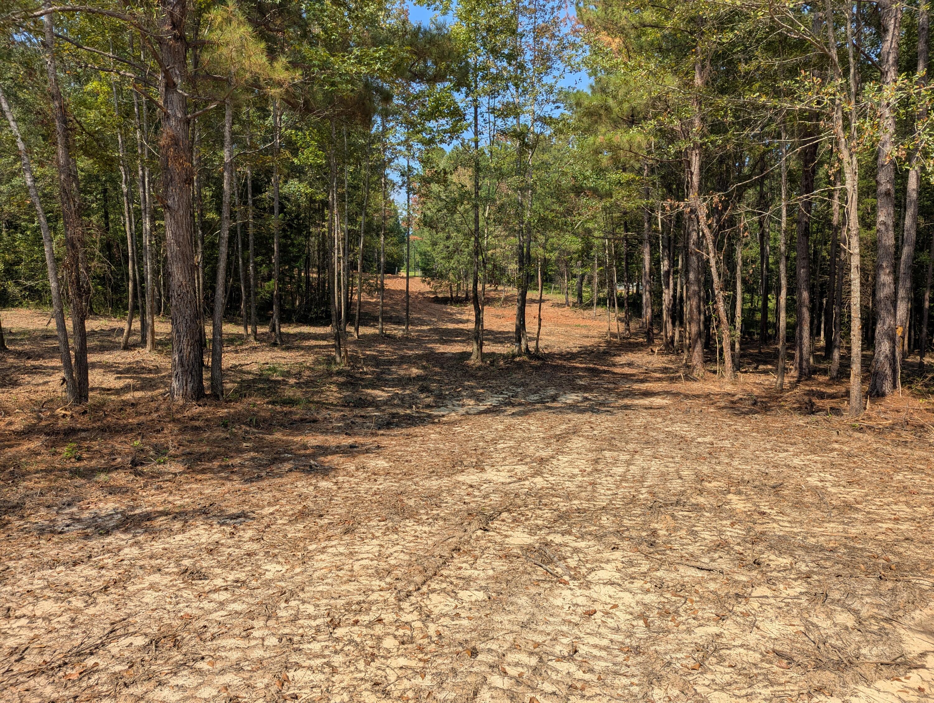 6982 Moontown Drive East Appling, GA 30802 - Photo 2 of 12 Land
