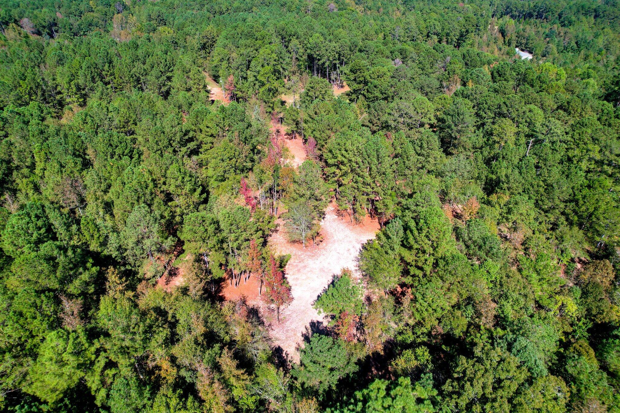 6982 Moontown Drive East Appling, GA 30802 - Photo 6 of 12 109