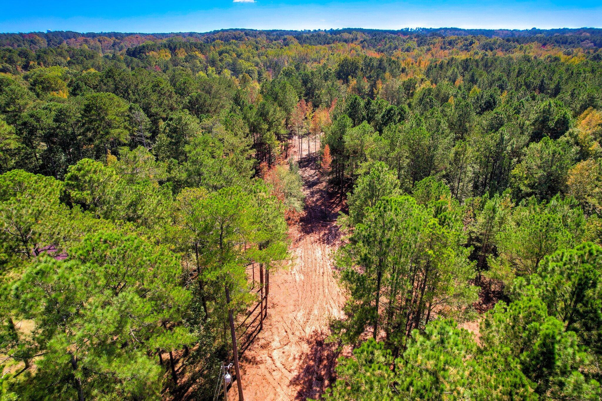 6982 Moontown Drive East Appling, GA 30802 - Photo 7 of 12 101