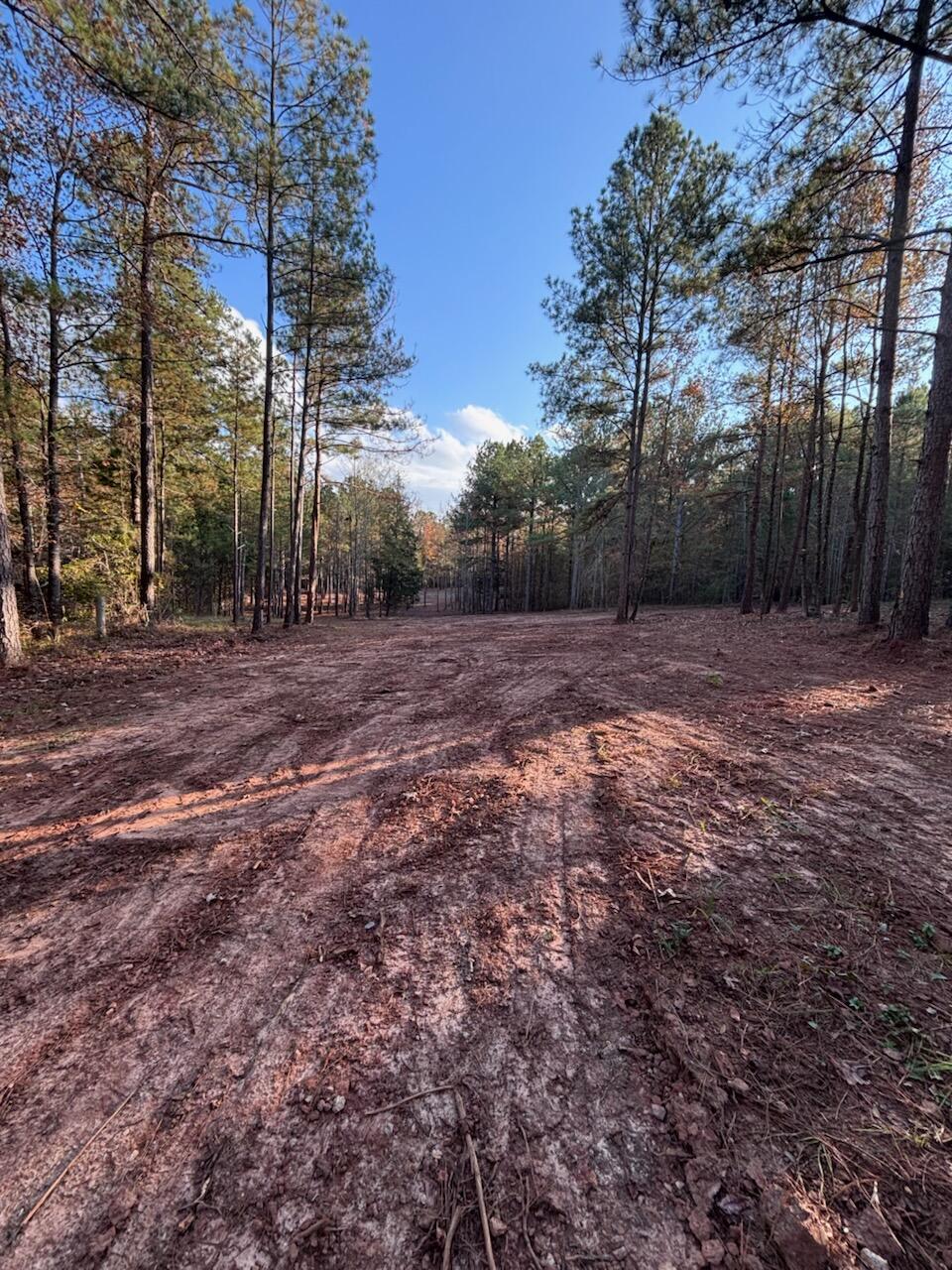 6982 Moontown Drive East Appling, GA 30802 - Photo 10 of 12 -2299634281753472642