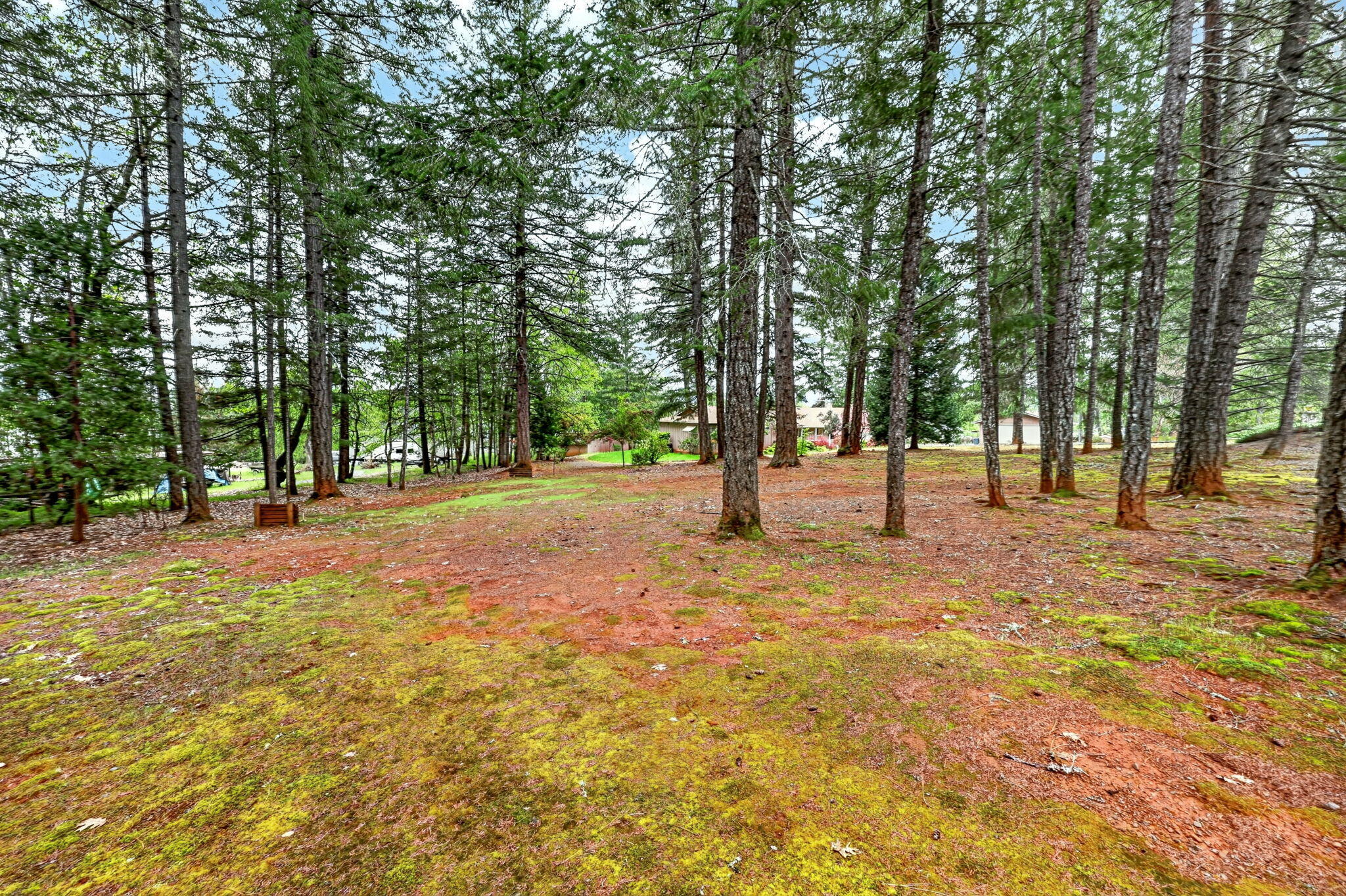 185 October Lane Merlin, OR 97532 - Photo 34 of 35 Gallery Image 34