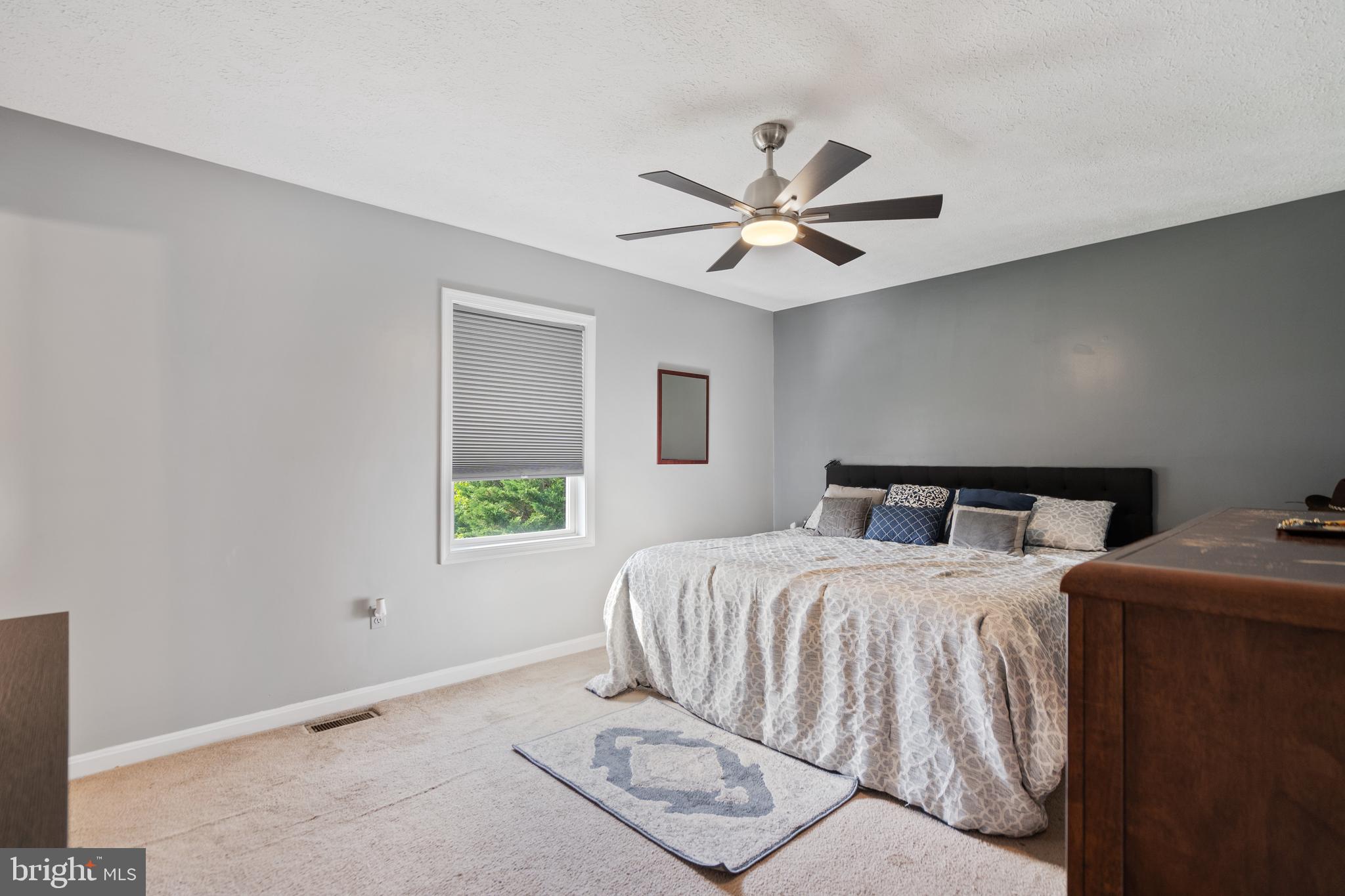192 Greenleaf Road Strasburg, VA 22657 - Photo 26 of 52 Bedroom 1