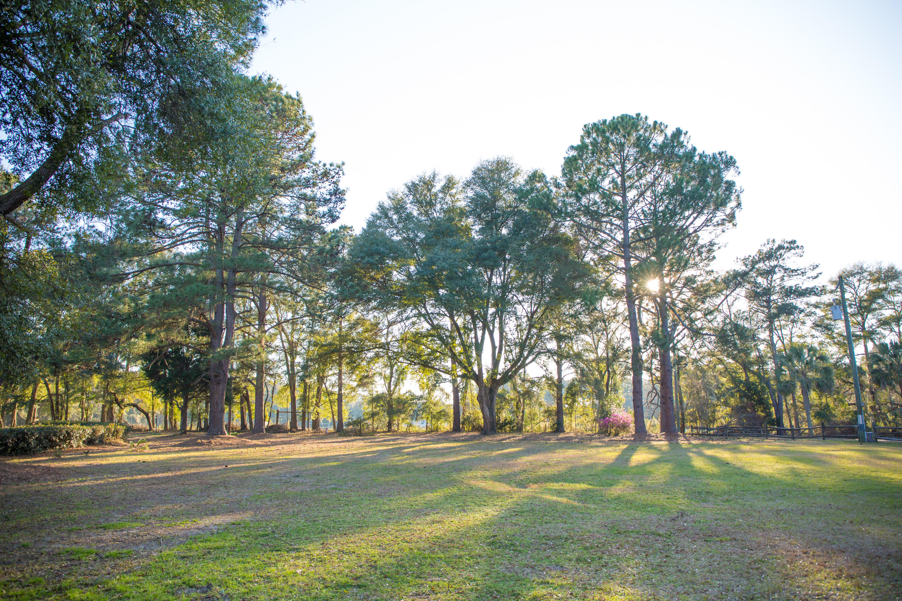 6185 Ranch Road Wadmalaw Island, SC 29487 - Photo 8 of 20 Wadmalaw-3