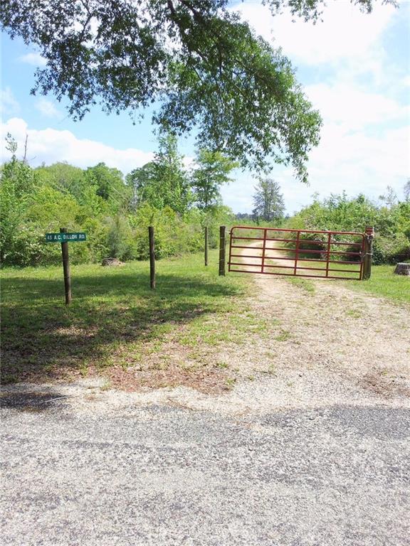 45 A C Dillon Road Tylertown, MS 39667 - Photo 3 of 11 Gallery Image 3