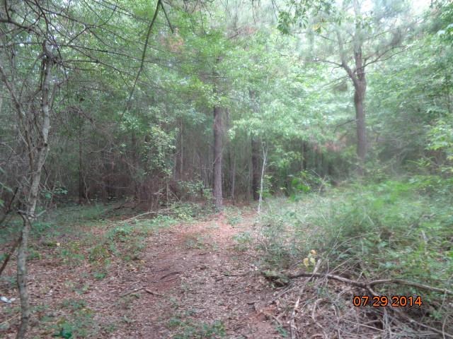 0 Joe Black Road, Unit 39 4 ACRES Pelzer, SC 29669 - Photo 12 of 22