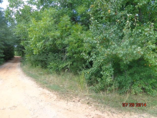 0 Joe Black Road, Unit 39 4 ACRES Pelzer, SC 29669 - Photo 13 of 22