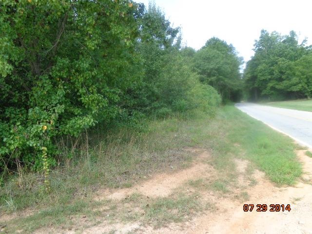 0 Joe Black Road, Unit 39 4 ACRES Pelzer, SC 29669 - Photo 14 of 22