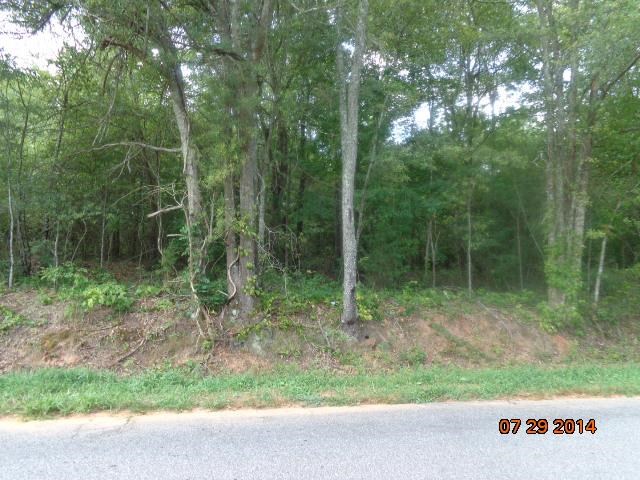 0 Joe Black Road, Unit 39 4 ACRES Pelzer, SC 29669 - Photo 15 of 22