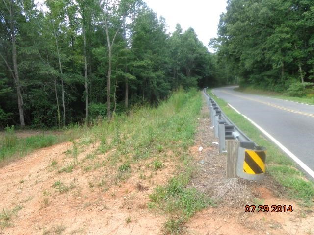 0 Joe Black Road, Unit 39 4 ACRES Pelzer, SC 29669 - Photo 16 of 22