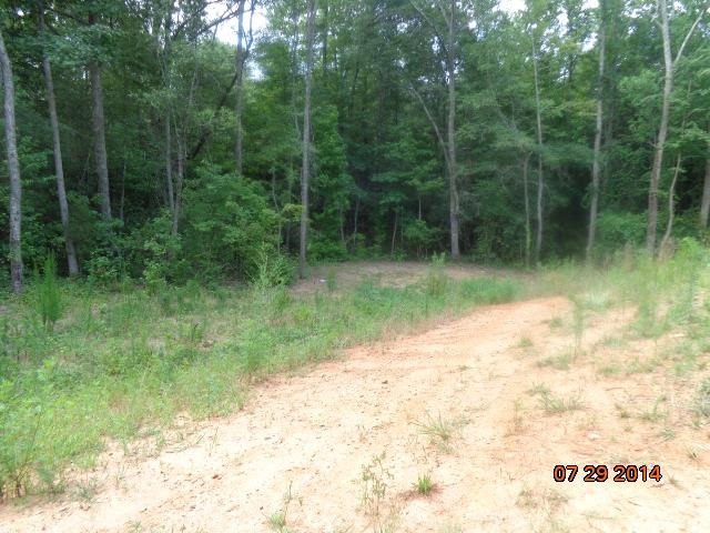 0 Joe Black Road, Unit 39 4 ACRES Pelzer, SC 29669 - Photo 17 of 22