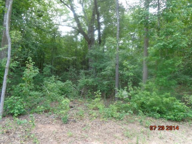 0 Joe Black Road, Unit 39 4 ACRES Pelzer, SC 29669 - Photo 18 of 22