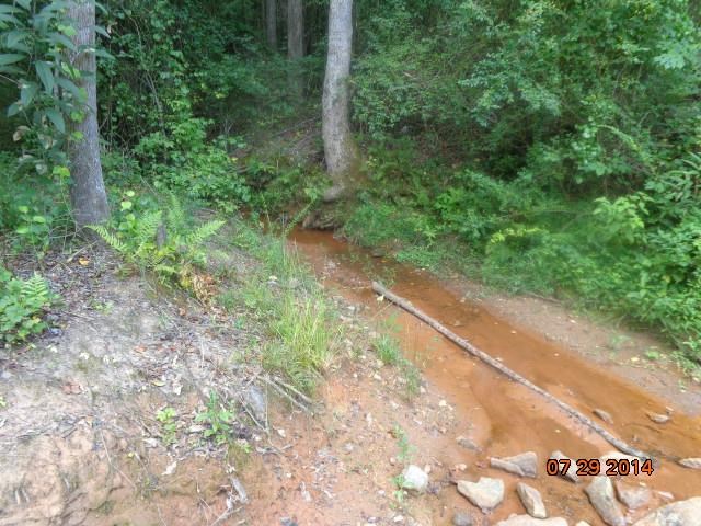 0 Joe Black Road, Unit 39 4 ACRES Pelzer, SC 29669 - Photo 20 of 22