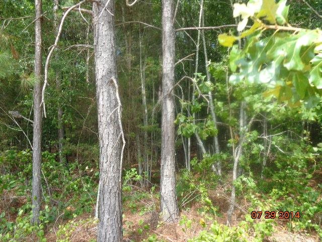 0 Joe Black Road, Unit 39 4 ACRES Pelzer, SC 29669 - Photo 2 of 22