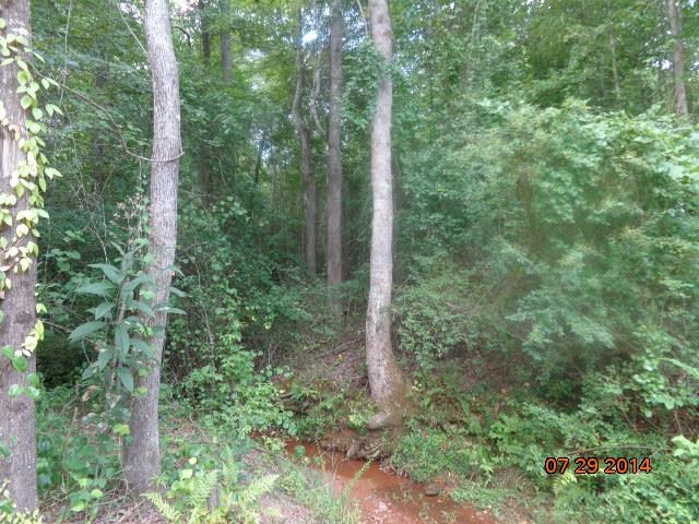 0 Joe Black Road, Unit 39 4 ACRES Pelzer, SC 29669 - Photo 21 of 22