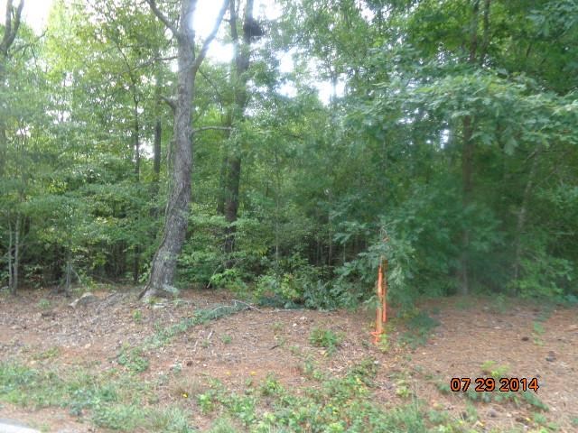 0 Joe Black Road, Unit 39 4 ACRES Pelzer, SC 29669 - Photo 22 of 22