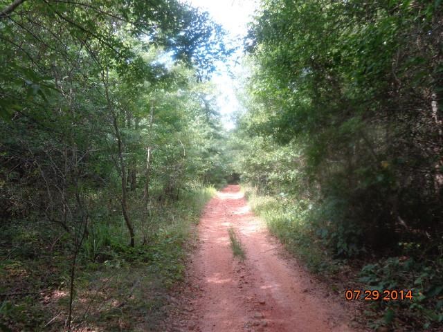0 Joe Black Road, Unit 39 4 ACRES Pelzer, SC 29669 - Photo 4 of 22