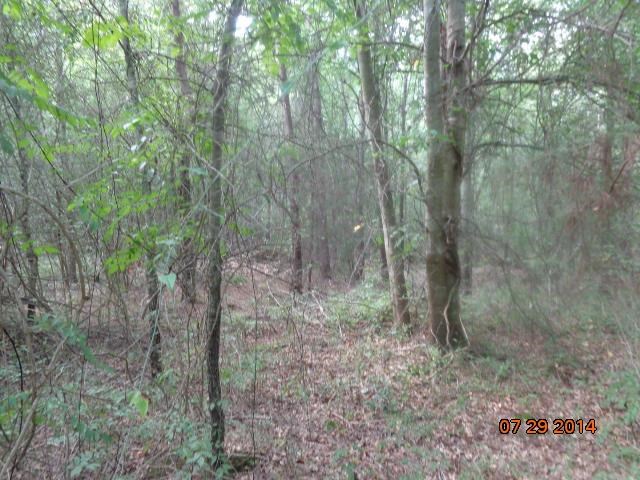 0 Joe Black Road, Unit 39 4 ACRES Pelzer, SC 29669 - Photo 6 of 22