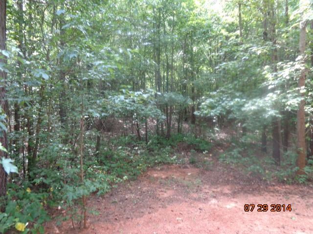 0 Joe Black Road, Unit 39 4 ACRES Pelzer, SC 29669 - Photo 7 of 22