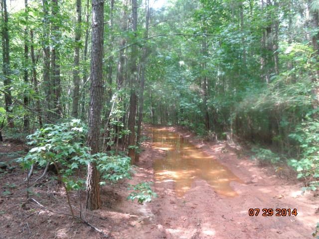 0 Joe Black Road, Unit 39 4 ACRES Pelzer, SC 29669 - Photo 8 of 22