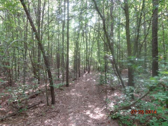 0 Joe Black Road, Unit 39 4 ACRES Pelzer, SC 29669 - Photo 9 of 22