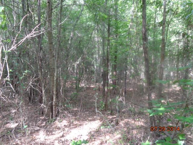 0 Joe Black Road, Unit 39 4 ACRES Pelzer, SC 29669 - Photo 10 of 22