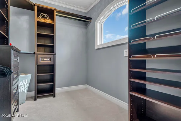 a view of a garden with an outdoor space