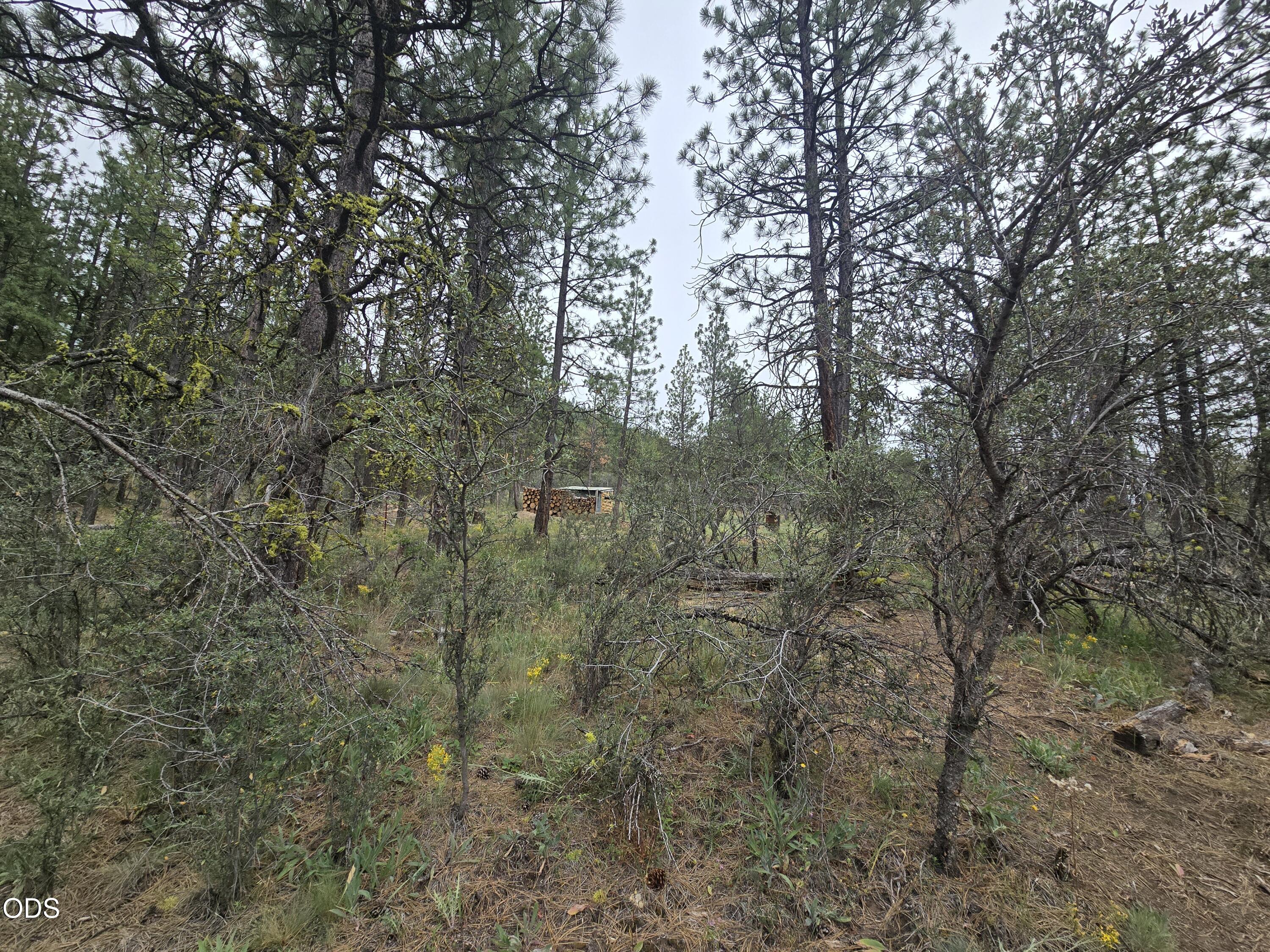 0 Partin Drive, Unit 5 Beatty, OR 97621 - Photo 7 of 15