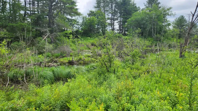 $135,000 | 0 Dana Mill Road, Woolwich, ME 04579