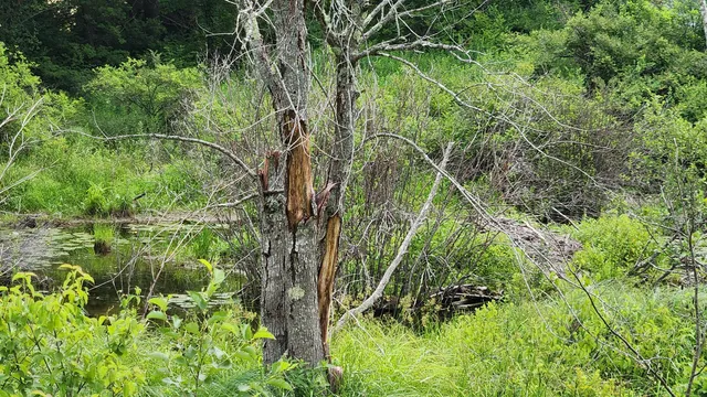 $135,000 | 0 Dana Mill Road, Woolwich, ME 04579